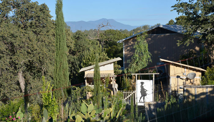 California Studio