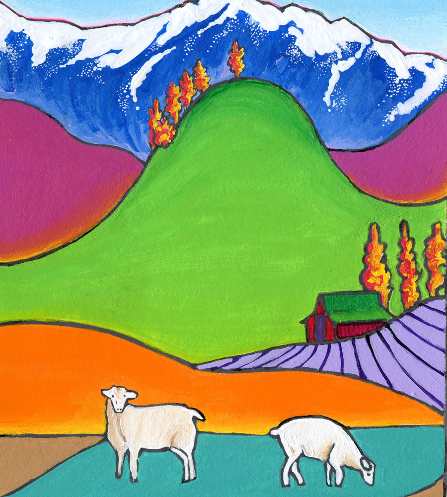 Sheep in the Yolla Bollys