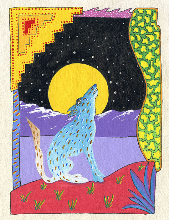 Coyote by Phil Dynan