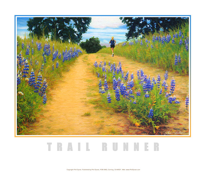 Lupine Trail Runner by Anastasia Nelson