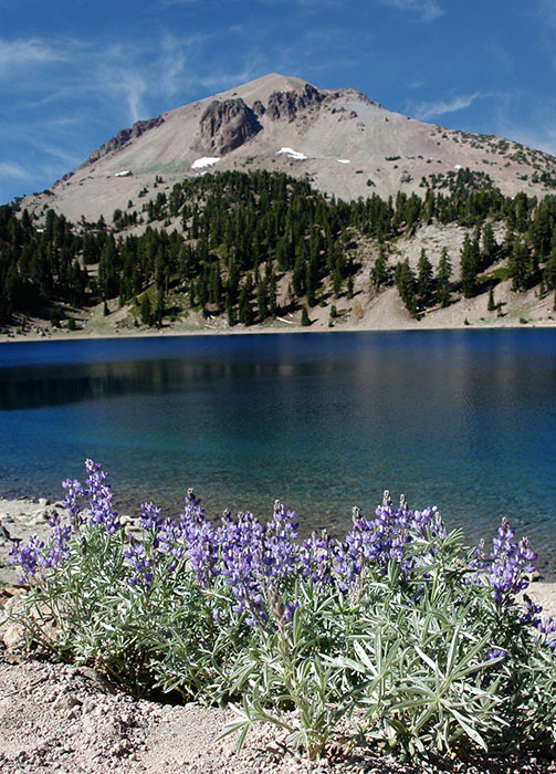 Lassen Volcanic National park art by Phil Dynan