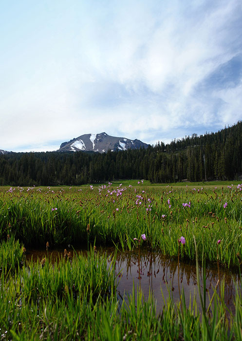 Lassen Volcanic National park art by Phil Dynan
