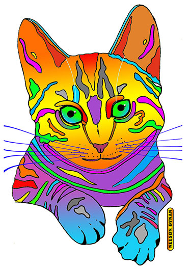 Digital Cat